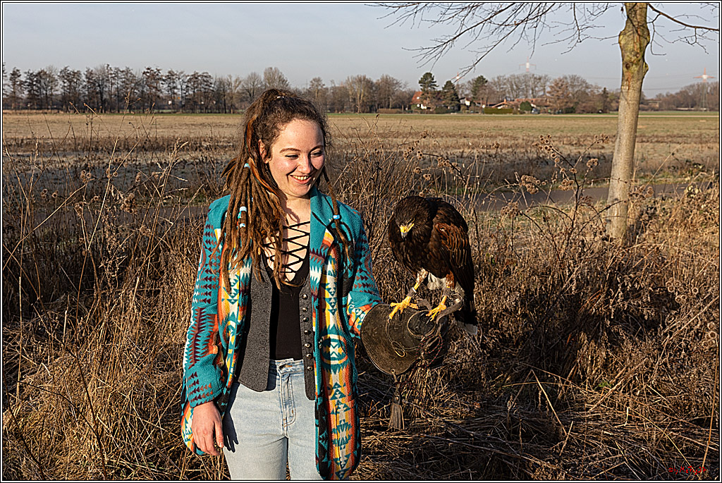 Cheyenne-Halbblut Hunting Wolf in der Falknerei Pierre Schmidt; Gymnich, 09.02.2023